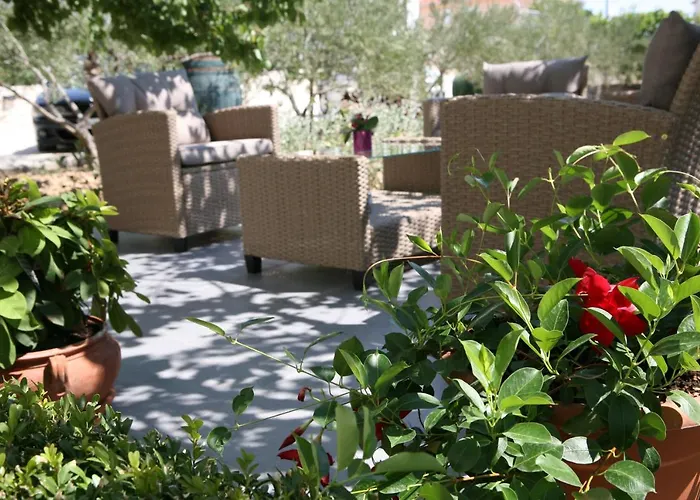 Old Town * טרוגיר