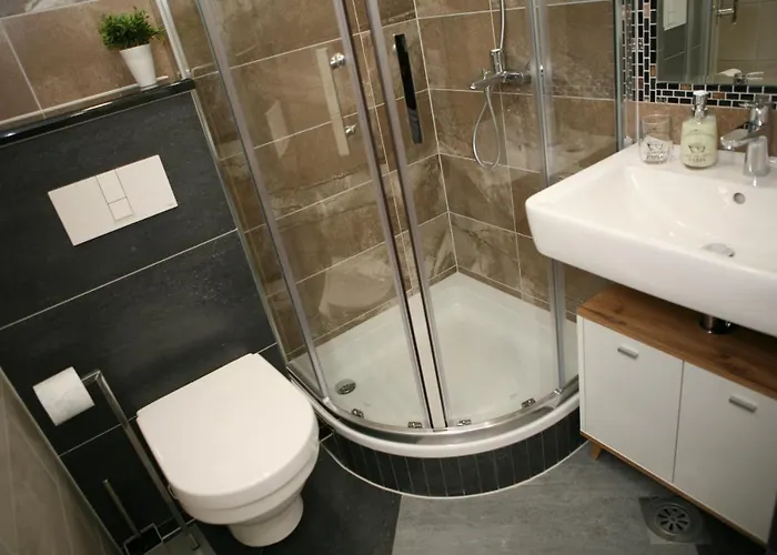 Old Town טרוגיר